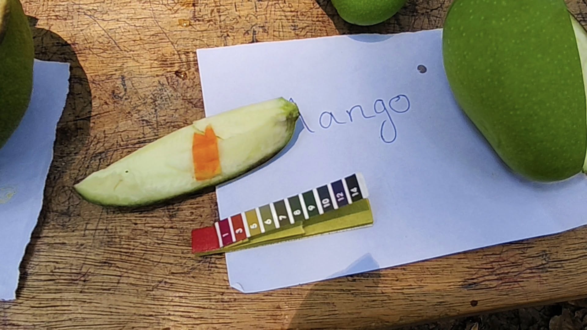 493162937_24286251190967342_7551600217234224011_n